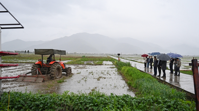 1679902621788831.jpg DSC_7244_副本.jpg